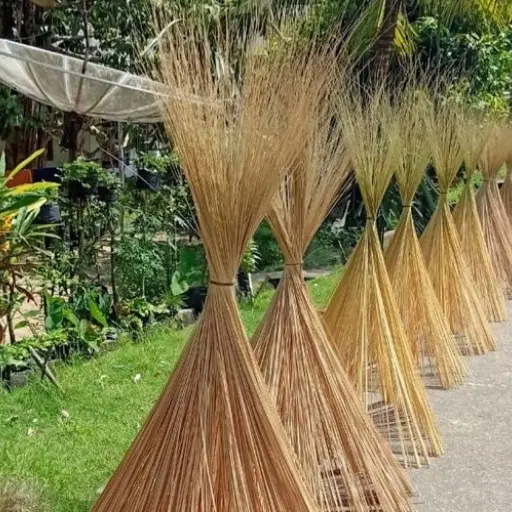 Galeri 6